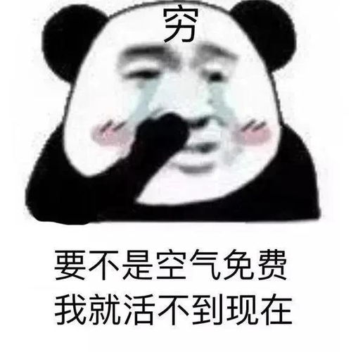 沙雕表情包丨又撤回了什么见不得人的消息