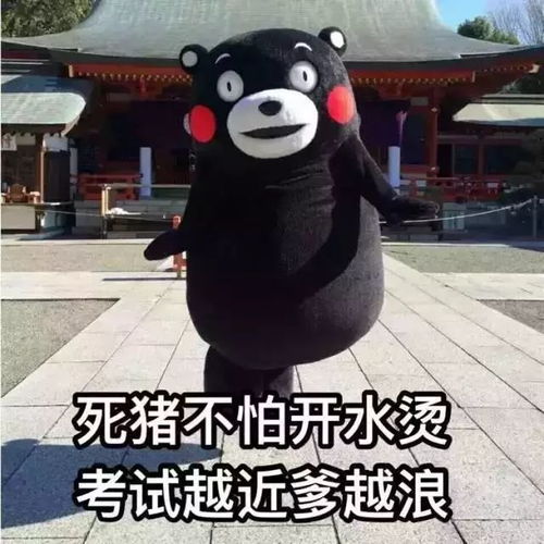 我与期末考有个约会附选课指南