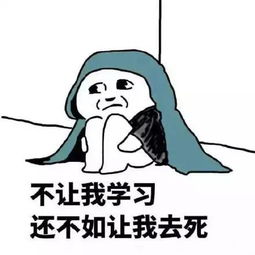 告诉你一个惊恐的消息开学了