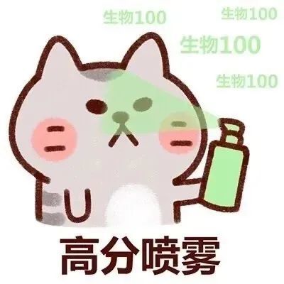 考试搞笑文案