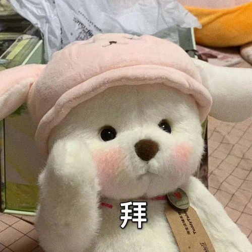 抖音热门表情包11莉娜熊表情包合集