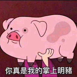 萌新入坑
