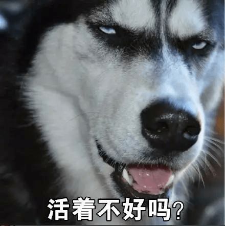 我是如何被儿子训练成泼妇的