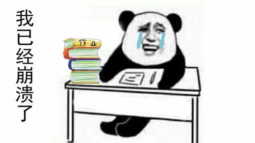 上了她表情包幽默笑话