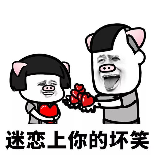 表情丨我们一起学猪叫