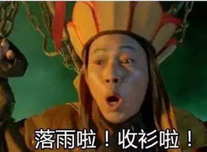 抖音gif动态表情包是什么样的