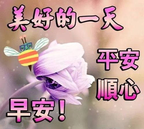 早上好图片问候祝福语句子问候早上好图片带字动态表情