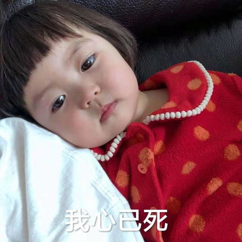 萌娃表情包想当年小蛮腰现如今胖的一身五花膘