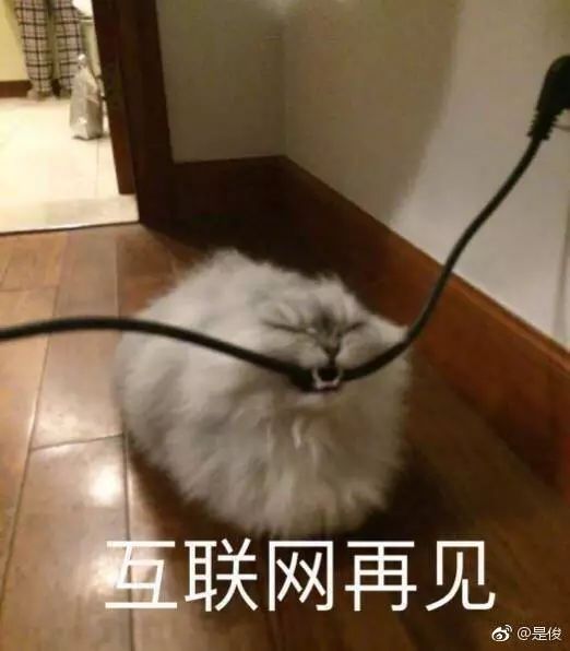 上个学期的遗憾脱单