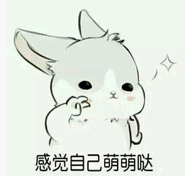 谁有这种系列的兔子表情包吗这只兔子叫什么