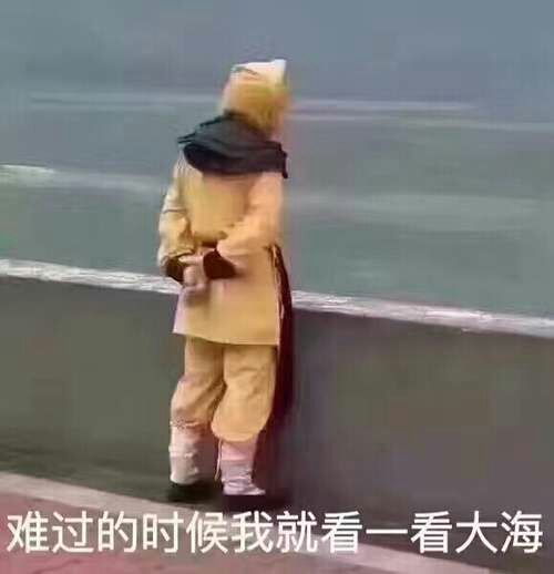 鹅们有自己一个人去外地找工作的吗