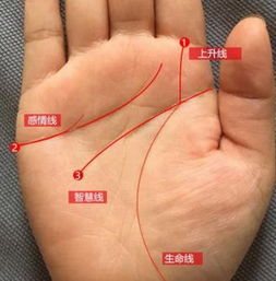 注定是长寿之人手相特征