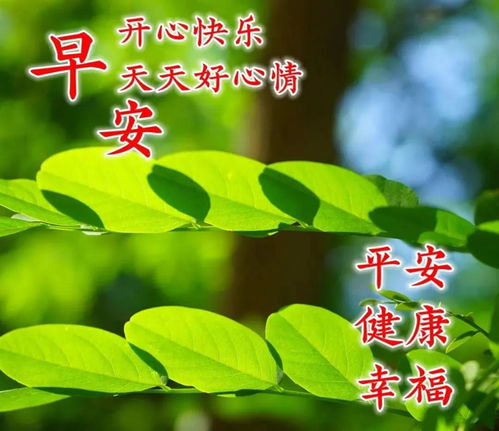 8张最美风景早上好图片带祝福语免打字聊天的早安问候祝福语图片表情精选