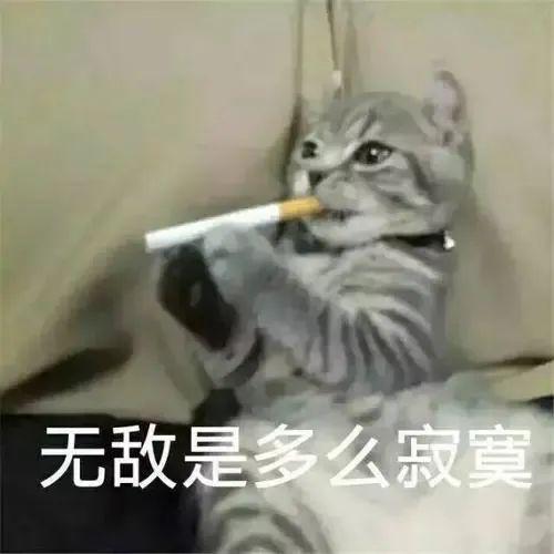 牙膏光信酱的表情包细长