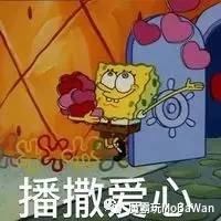 你只是吃胖了不用每次都来妇产科