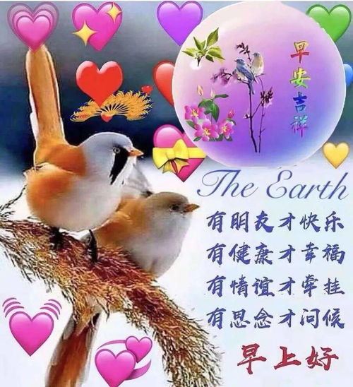 漂亮冬天早上好动态表情鲜花图片大全冬天早晨好祝福语动图大全