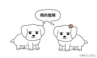智障表情包,md智障表情包免费版