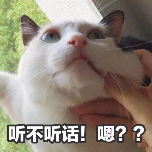 六一最火表情合集,打遍朋友圈无敌手