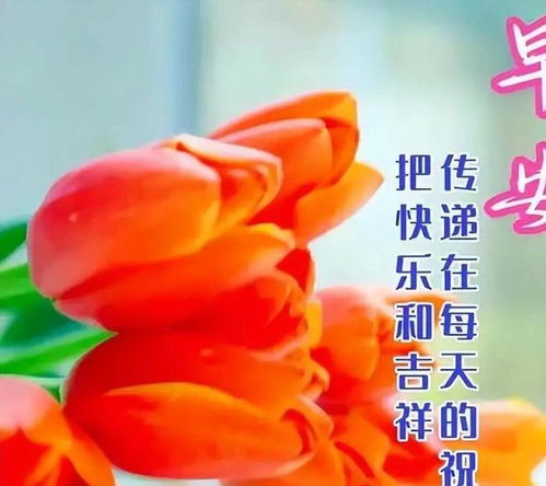 早上好表情包新版高雅问候