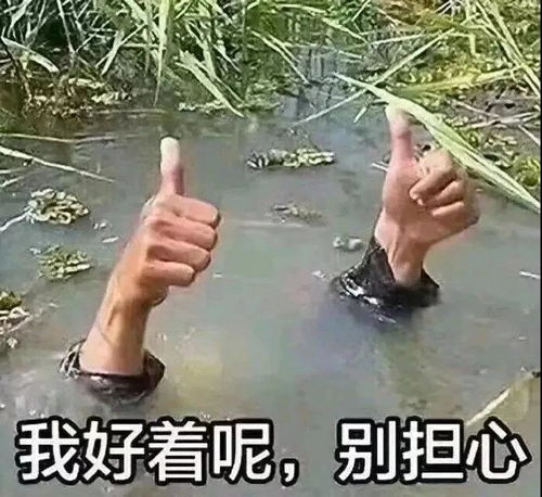 有你的照片表情包和好