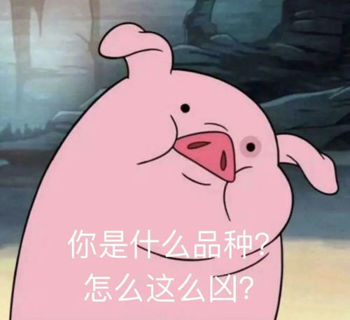 用配音,算什么演员啊