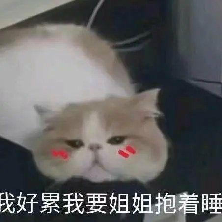 dddd