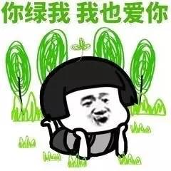 你绿我,我也爱你