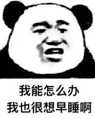 啊表情包