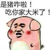 咋滴用日语怎么说