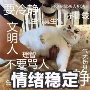 湘琴鬼脸表情包高叉