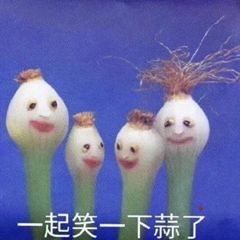 爆炸头表情包搞笑图片表情包