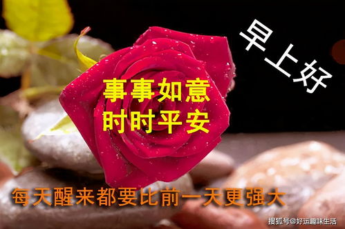 祝你快乐乐逍遥,吉祥如意伴着你,祝你家庭美满,早安祝福语,早安