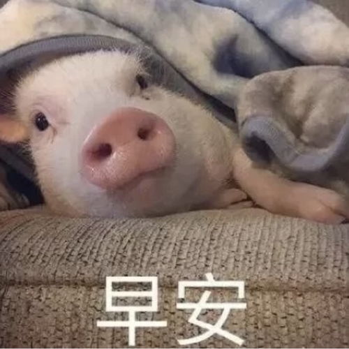 必须发给男票的可爱表情包