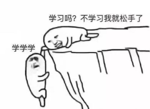 我把准考证头像传成了表情包,结果改不了了救命啊