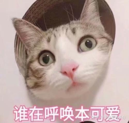 关于学习意大利语的一点点感受与经验