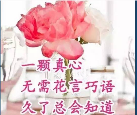 早上好,送你一首好听的歌曲,你花100万也买不到值得你听一辈子