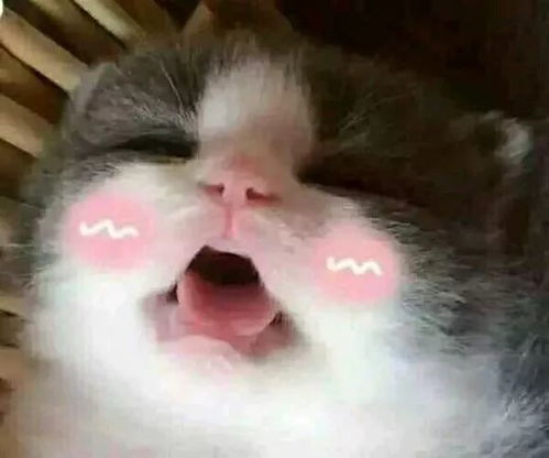 菌说拿什么拯救你,我的寒假