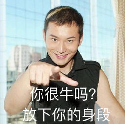 黄晓明表情包黄晓明微信表情包黄晓明qq表情包发表情fabiaoqing.com