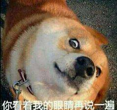刚睡醒的呆萌表情包斗牛