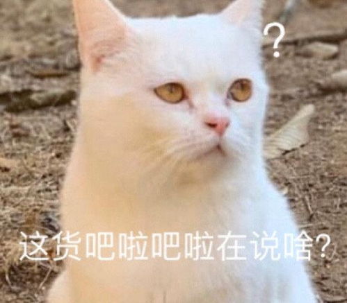 笑话段子今年业绩非常好,公司举行活动,每人有一次套圈的机会