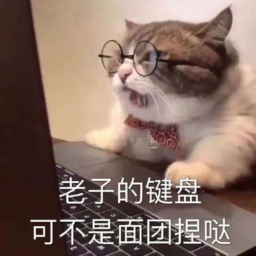 鼠年限定公关文