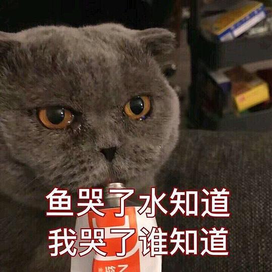 点头如捣蒜的相册表情包