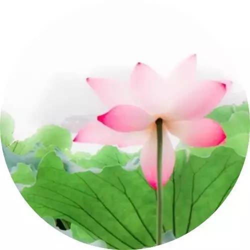 心静自然凉,在古诗文中寻找避暑良方