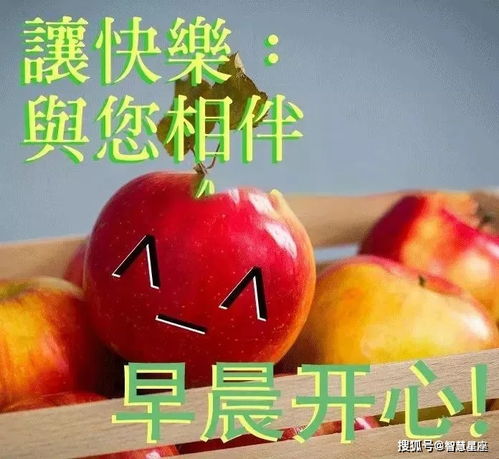6月13日周末微信特漂亮的早上好动态图片表情,早安温馨表情精选