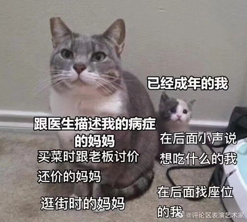 偷我表情包嘤嘤怪