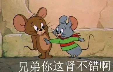 表情包人聊天必备沙雕表情包不沙雕你顺着网线来打我猫和老鼠专栏万能回复表