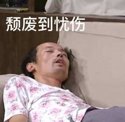曦海棠消化梅,肠胃不适便秘时候的得力助手