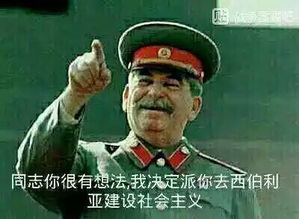 多部未华子表情包苏联