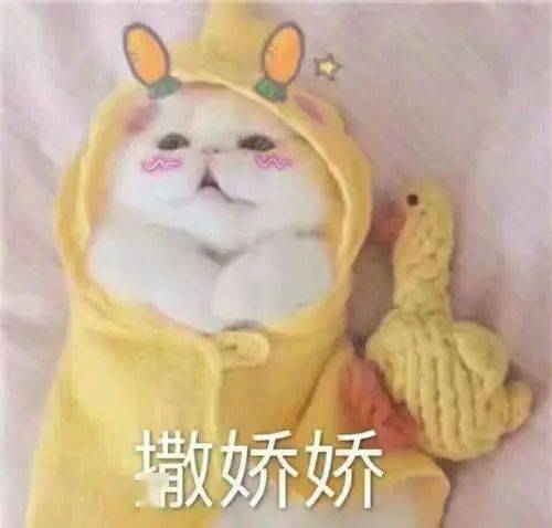正在排便的表情包生活费