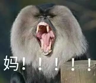 有一种爱,叫妈妈的后备箱看完后红了眼眶...